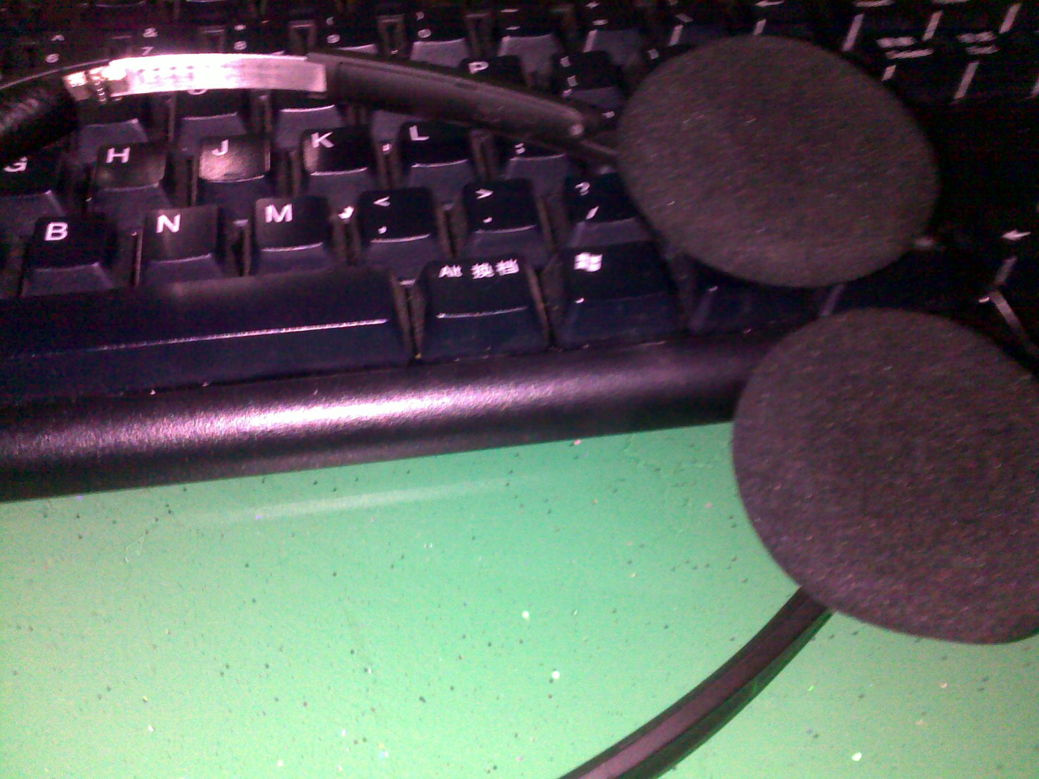 20100425013.jpg