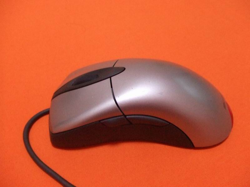 ������ɫIE3.0 ��X08��