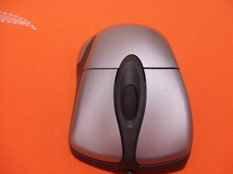 ������ɫIE3.0 ��X08��