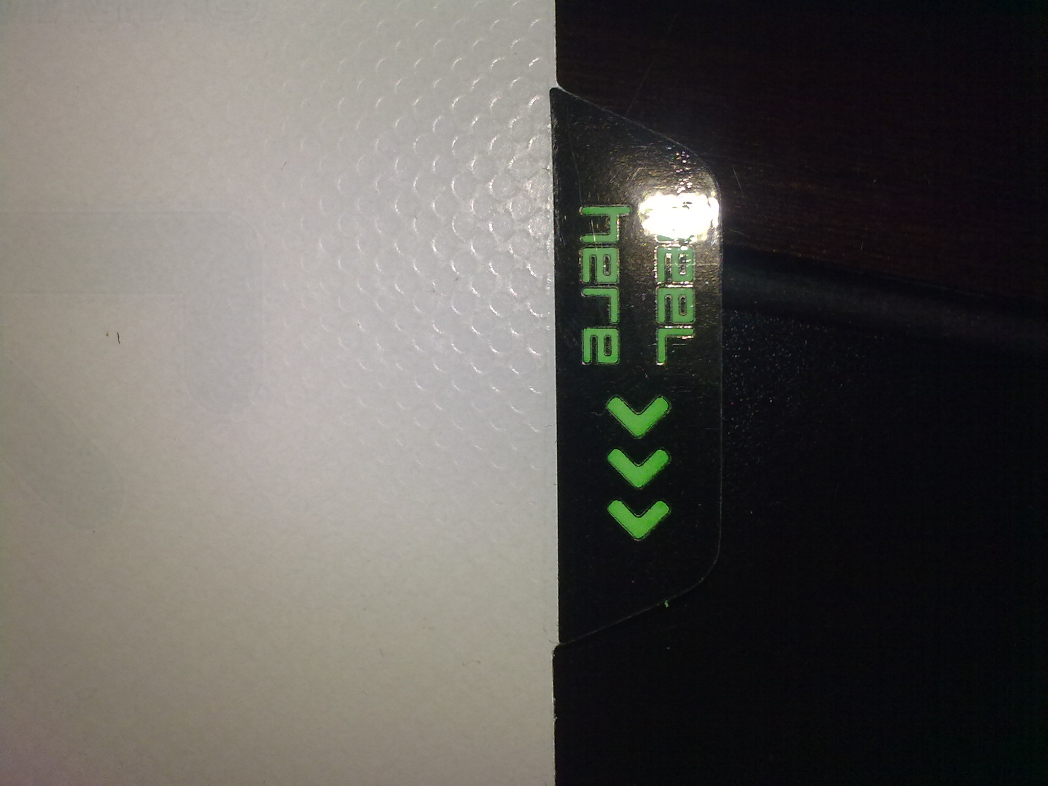 20100228054.jpg