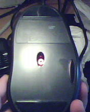 ��9.9�� MX518 200���죡����