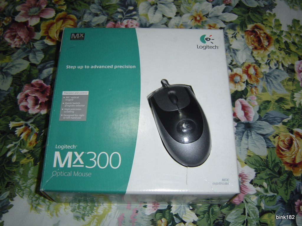 mx300.JPG