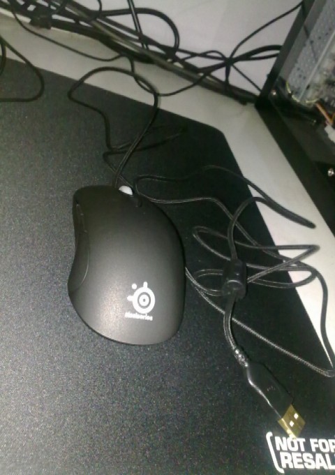 ����9.5�µ�XAI���ѳ���