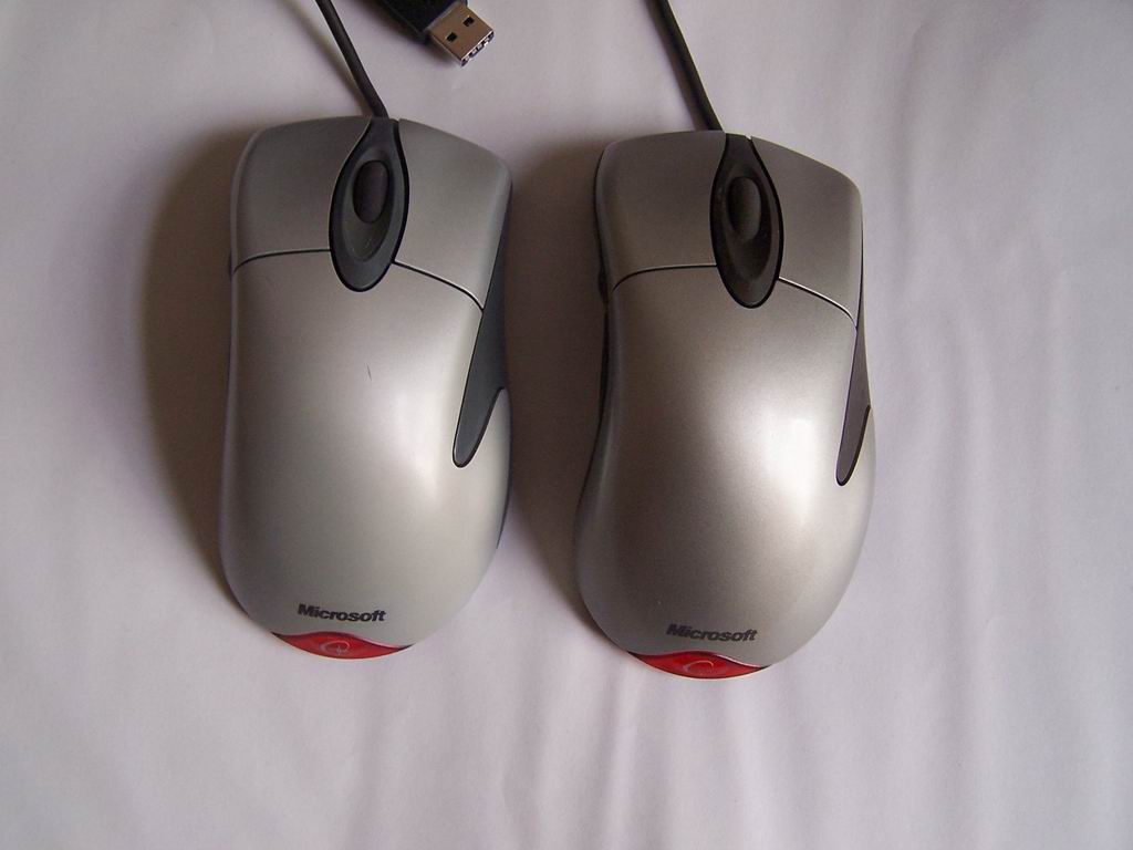 ������ɫIE3.0 ��X08��