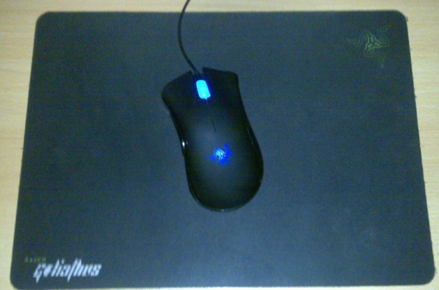 �����ѷϣ�������������������