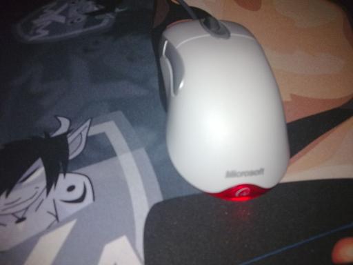 20100429003.jpg