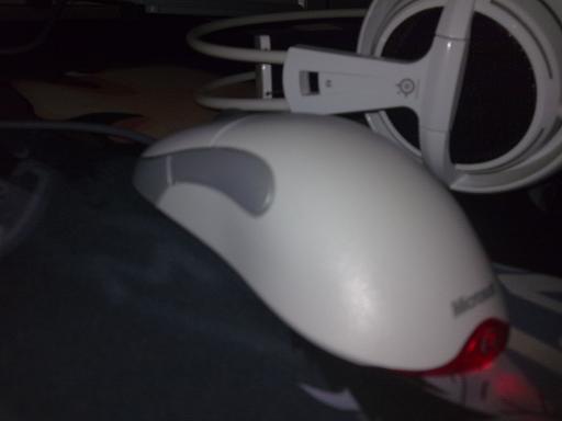 20100429011.jpg