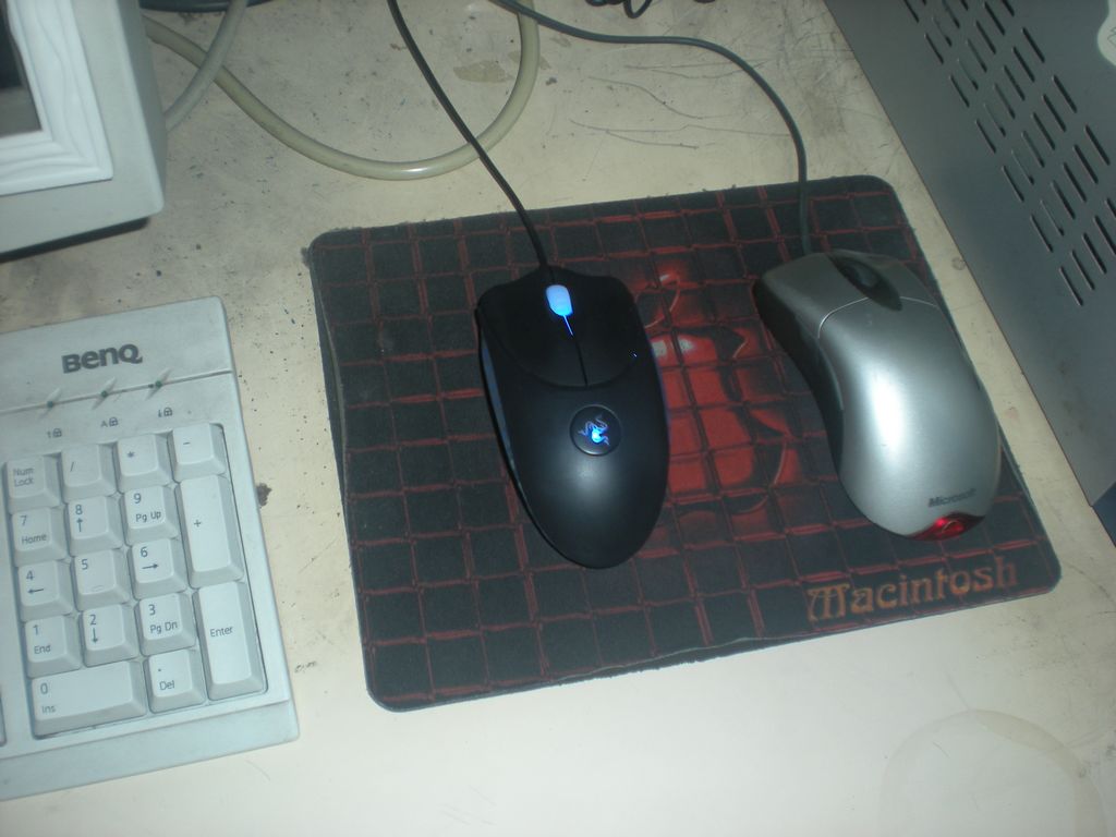 �ո� X06 ��IE �� �Լ�ȥ�������� ����Ҫ���� ��ɫ9������