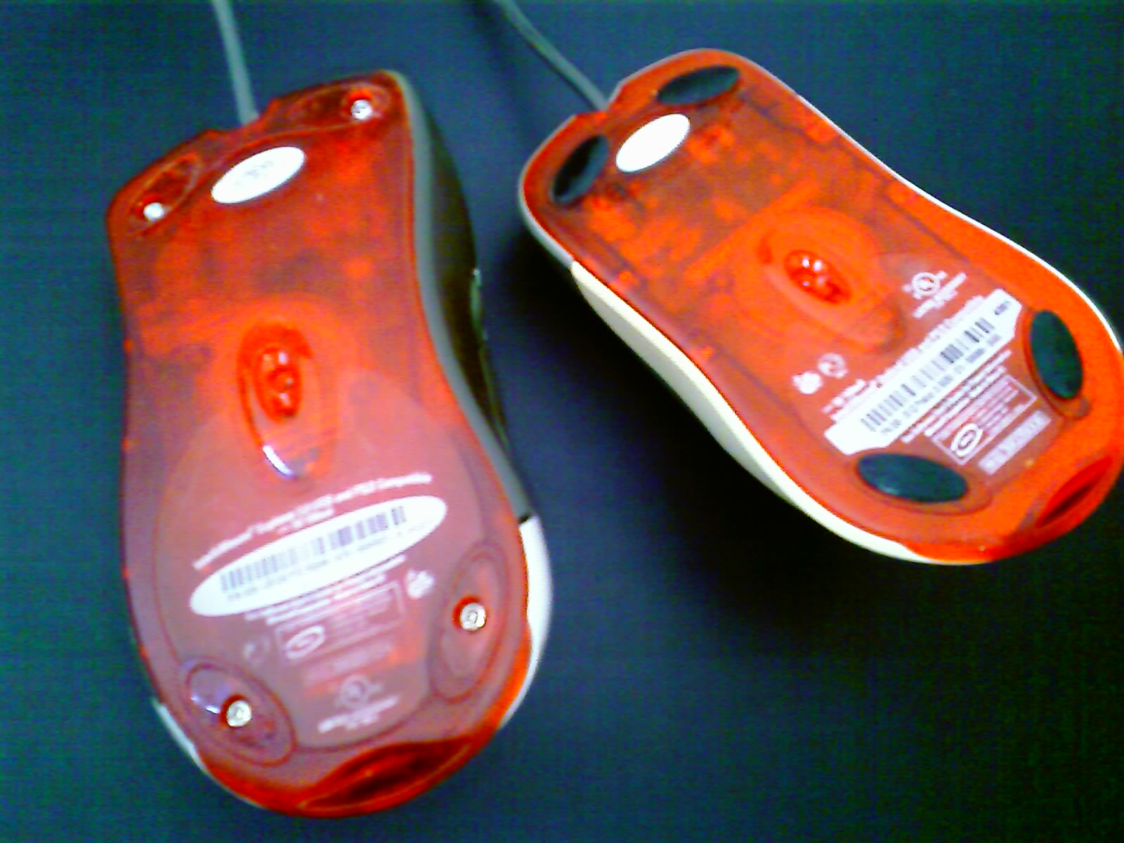 201005031341_051.jpg