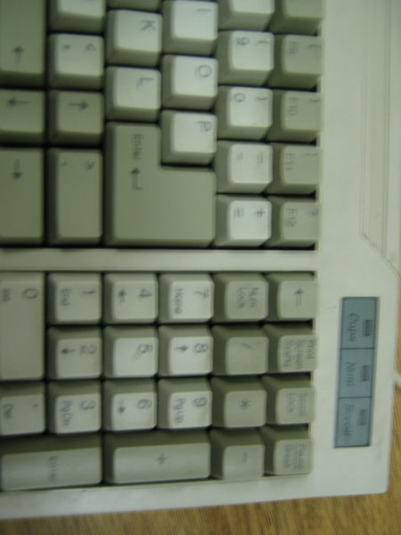 ��PLUMС��һ�ѣ�200�����㻦SF��˳����NOPPOO����