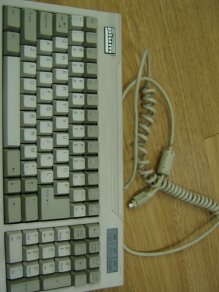 ��PLUMС��һ�ѣ�200�����㻦SF��˳����NOPPOO����