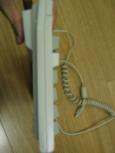 ��PLUMС��һ�ѣ�200�����㻦SF��˳����NOPPOO����