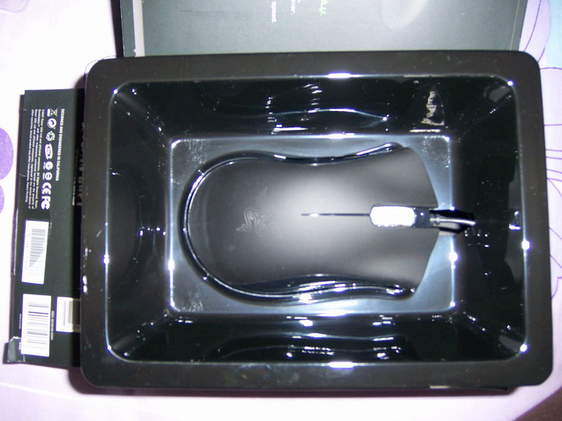 1800 DPI.jpg