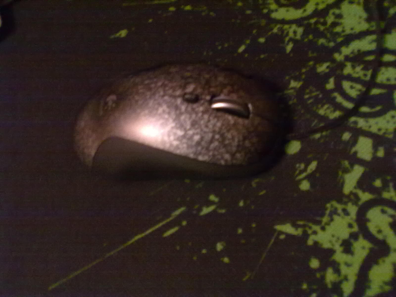 20100503062.jpg