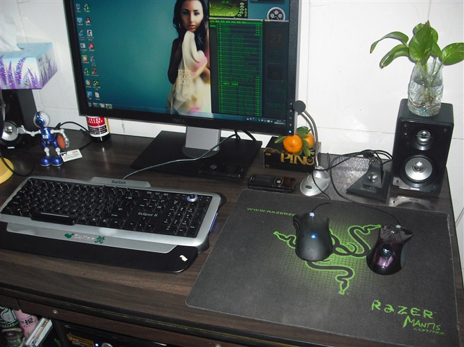 ����������֤��DELL 2209WA ������5�걣1250�����ߣ�ֻ��һ��