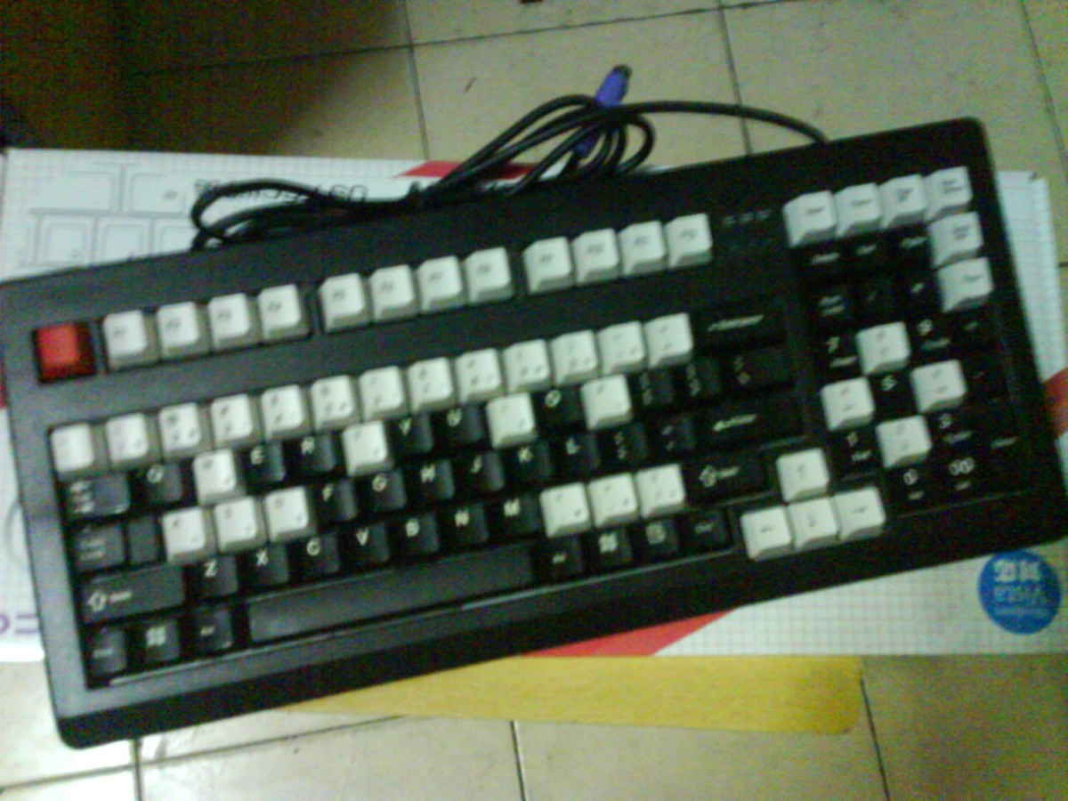 ...........................