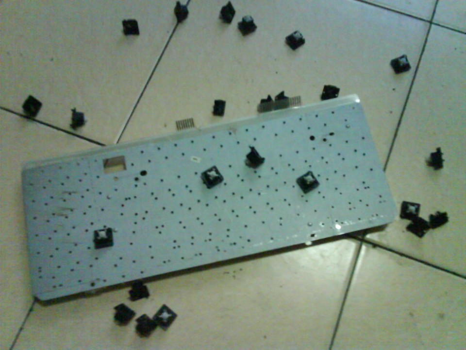 ...........................