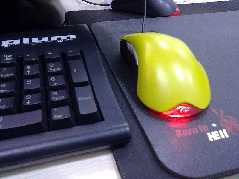 20100506095.jpg