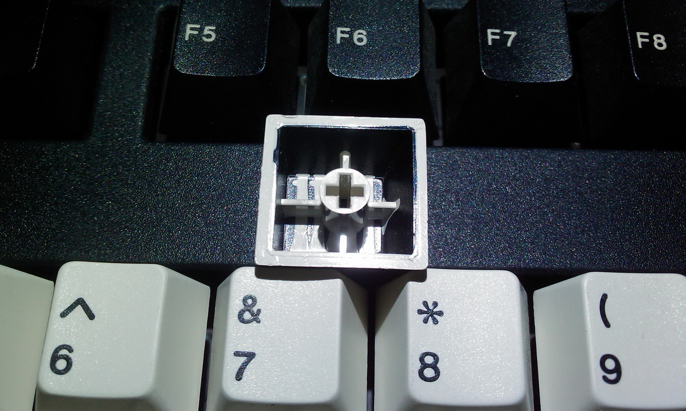 IMAG0381.jpg