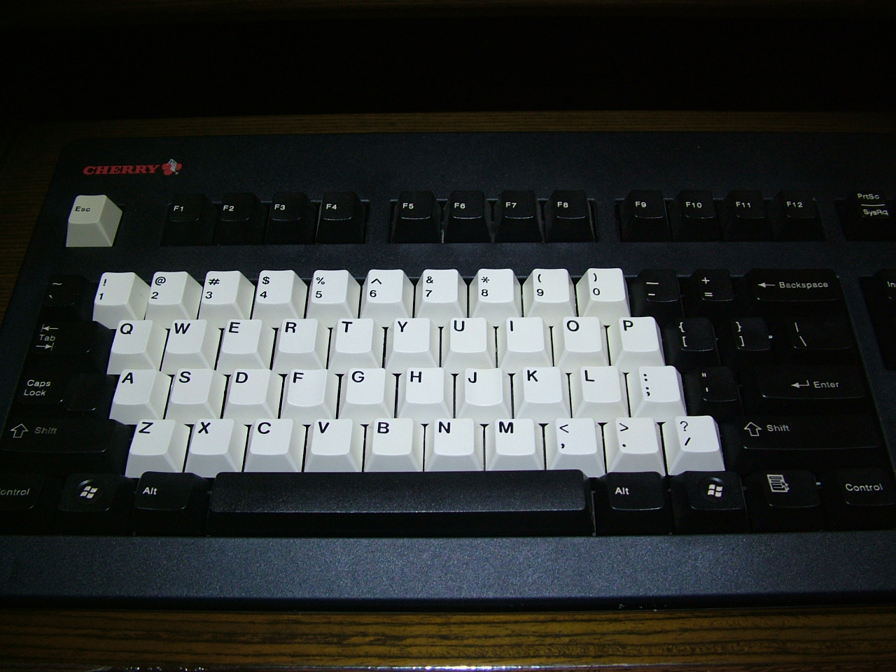 DSCF1677.JPG