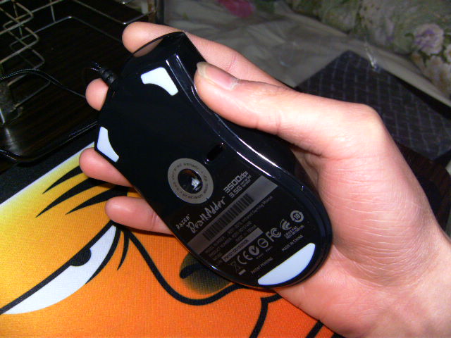 PICT0448.JPG