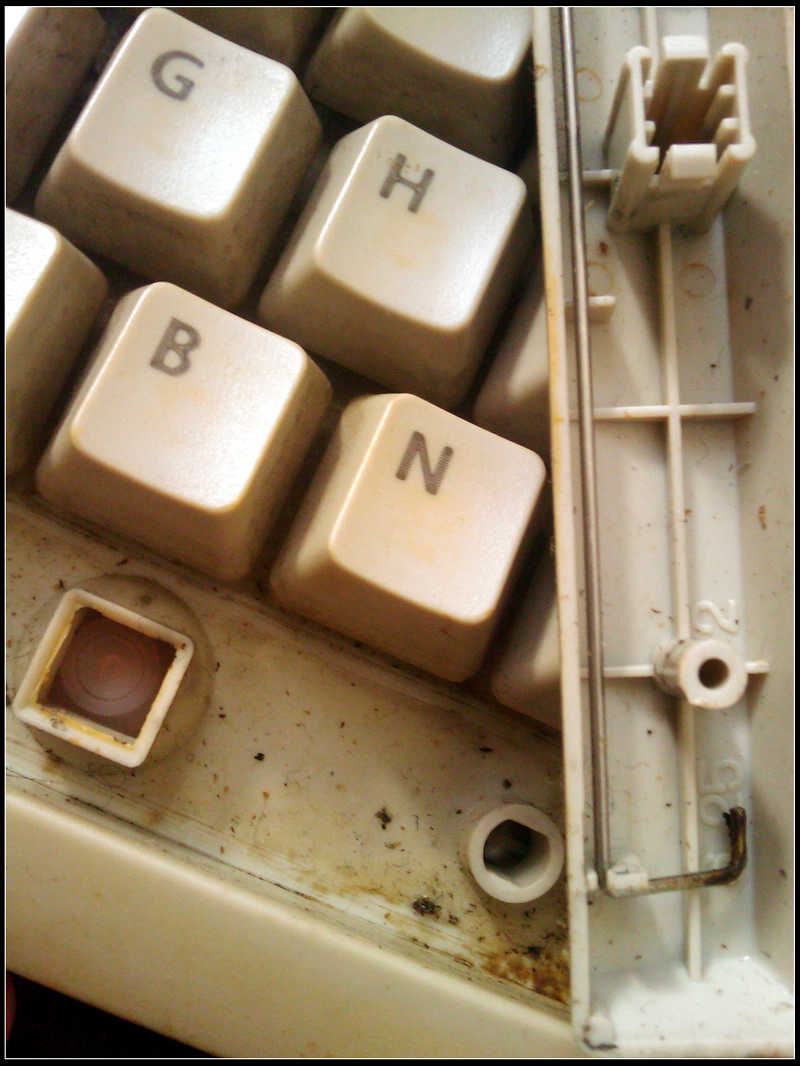 IMAG0027.jpg