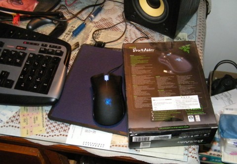 �����ۣ��ϰ����ߣ���ɫ�л�����Ԥ���У�