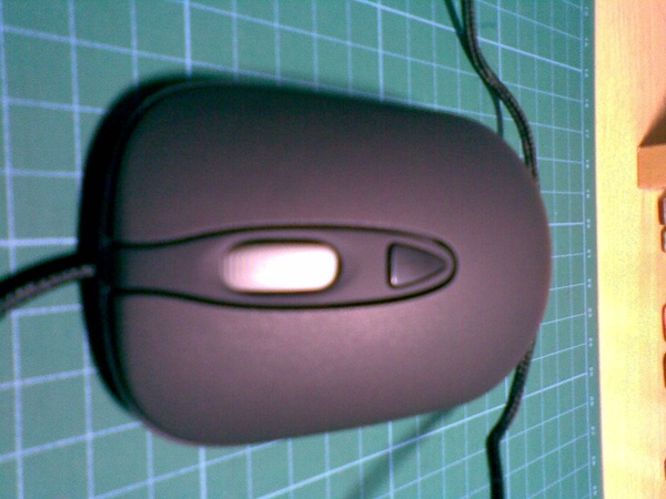 ��һ������ kinzu ��װ��Ʒ 170����........������.......