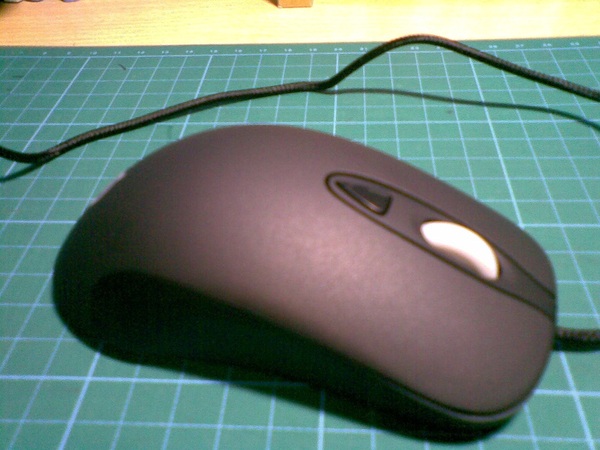 ��һ������ kinzu ��װ��Ʒ 170����........������.......