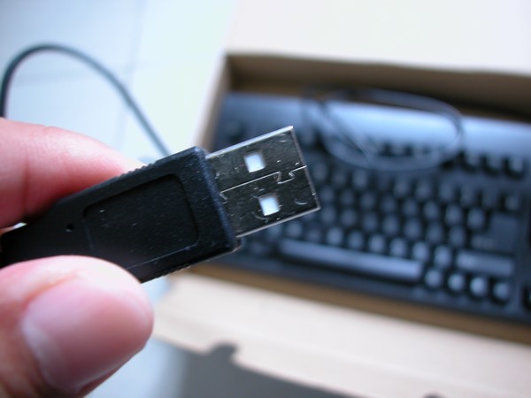 ��һ��9��PLUM�����һ��85�¼����󡡣