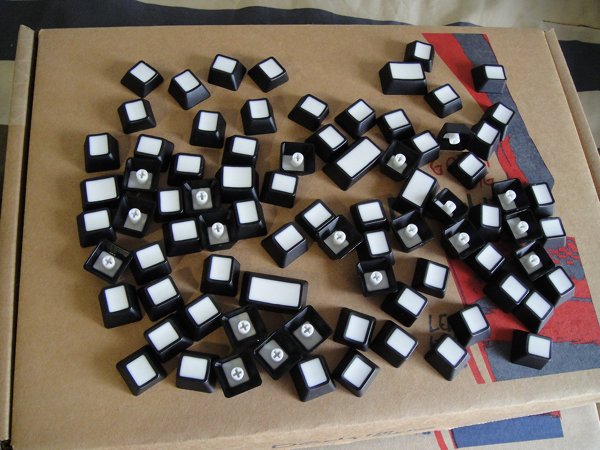 �����ֵ��߶���25Ԫ ������H260 50Ԫ ���80����