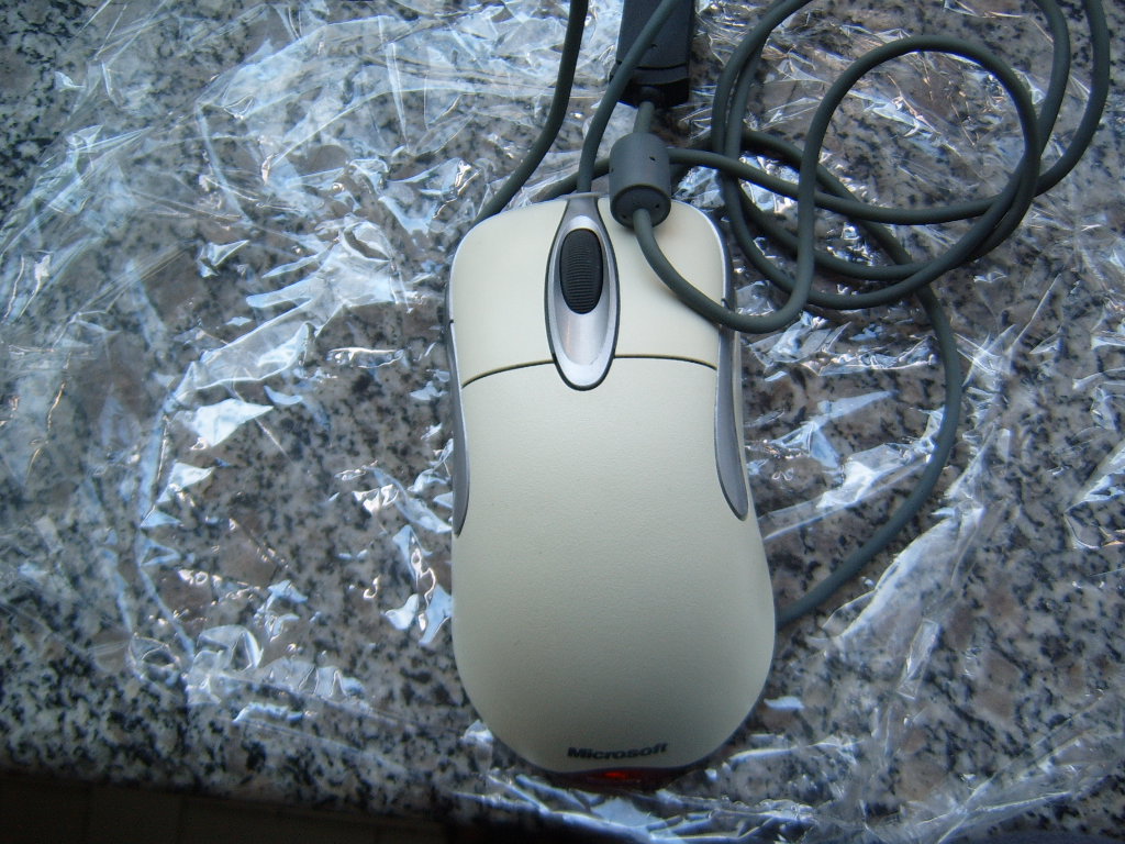 S4300019.JPG