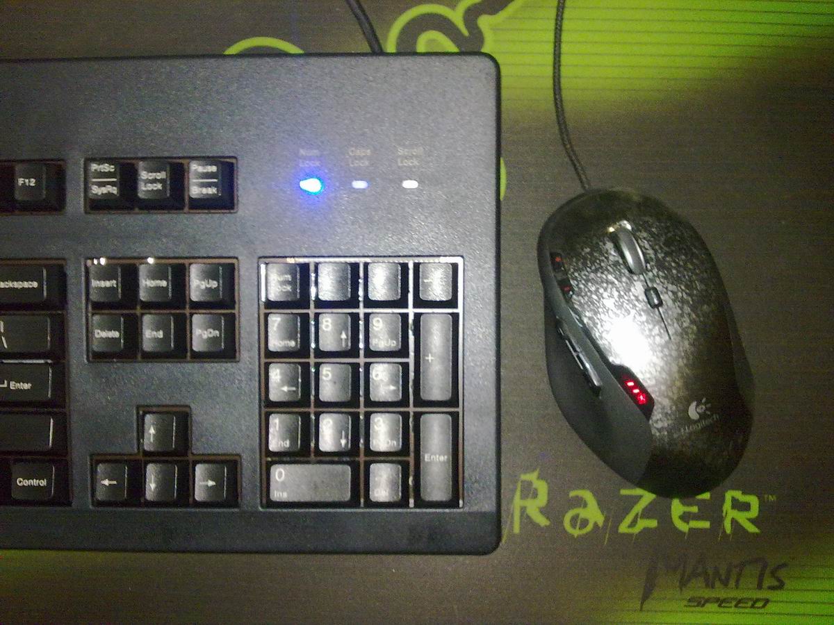 С 20100517861.jpg