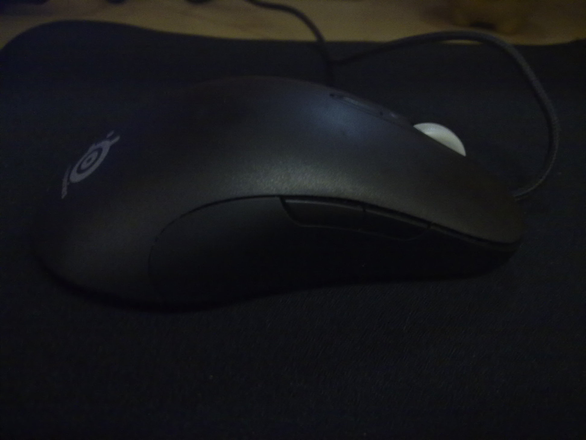 9.5����Xai���ۣ��ѳ���