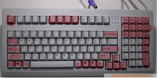 �չ����򻻣�ӣ��1800ϵ�а�ɫ��ñ