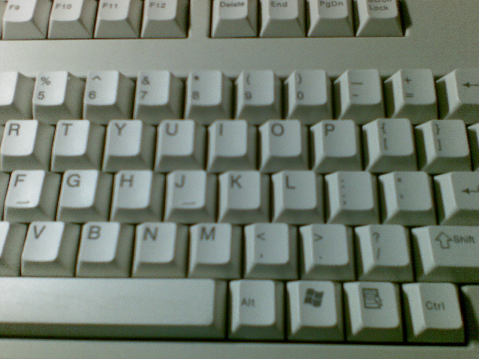 20100520_002.jpg