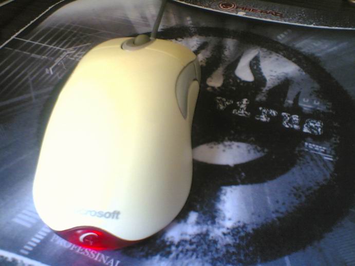 �����Գ�X06�����裡