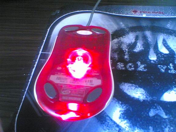 �����Գ�X06�����裡