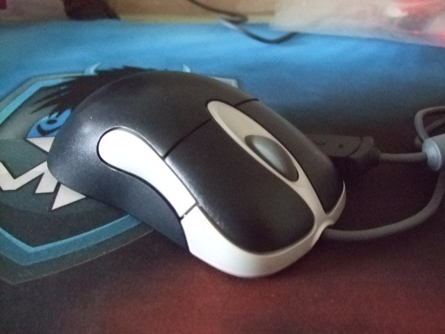 �������������Ʒ�� ����֧��