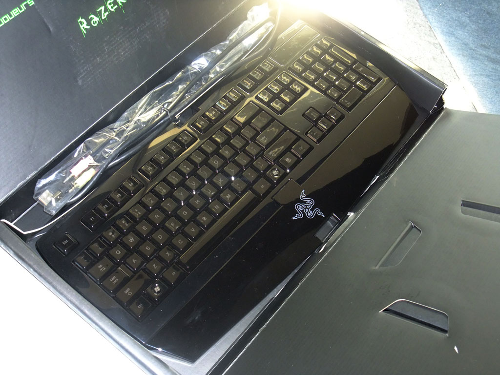 �����󡿸�λ�������æ��������٣�������