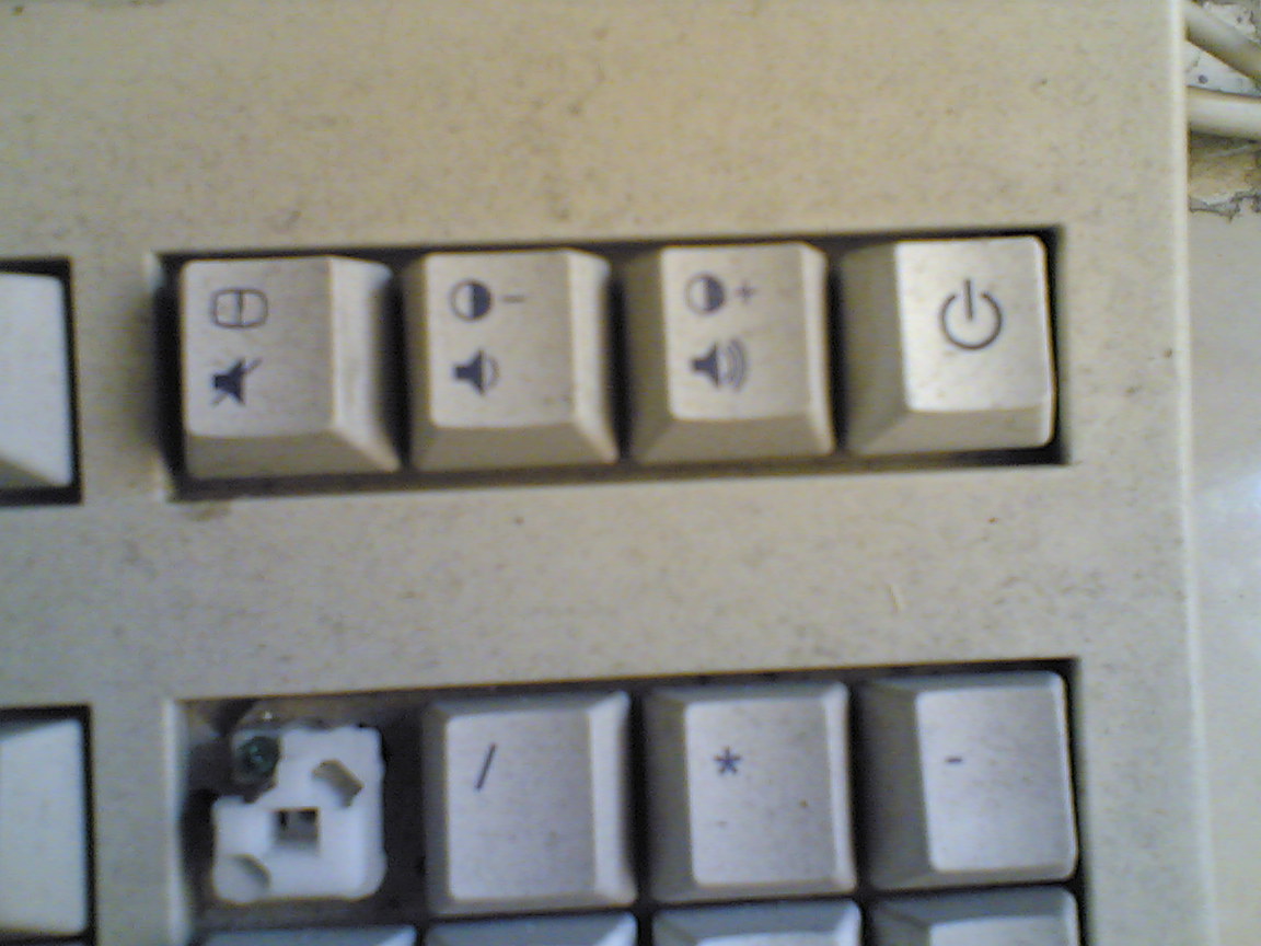 Image(027).jpg
