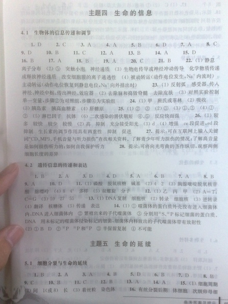 p_large_jSd8_199f00024b712d14.jpg