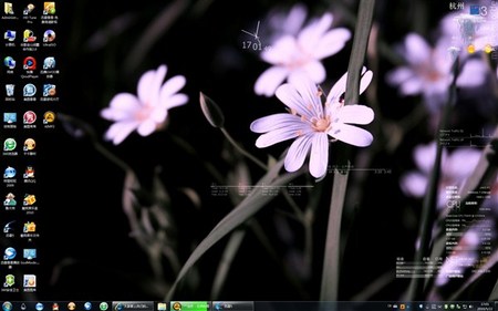 ��Ҷ����Լ������濴��.