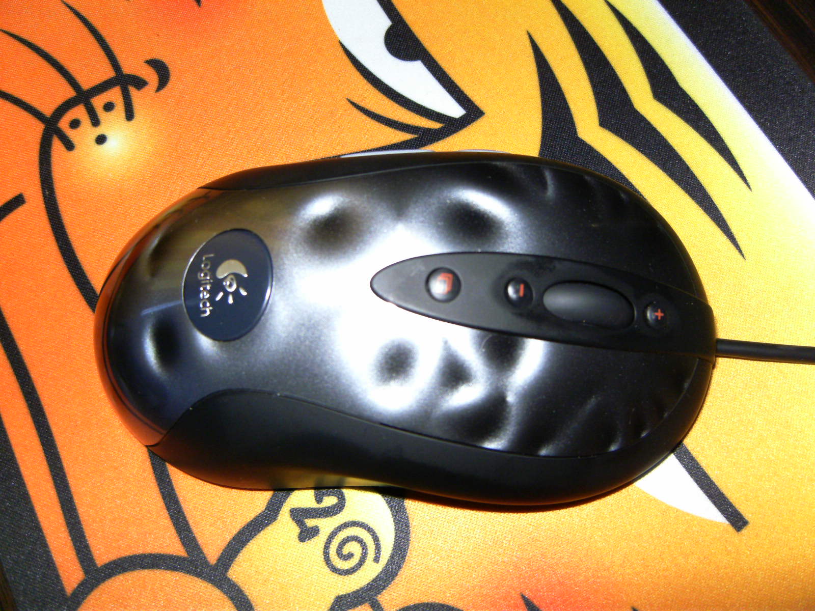 PICT0520.JPG