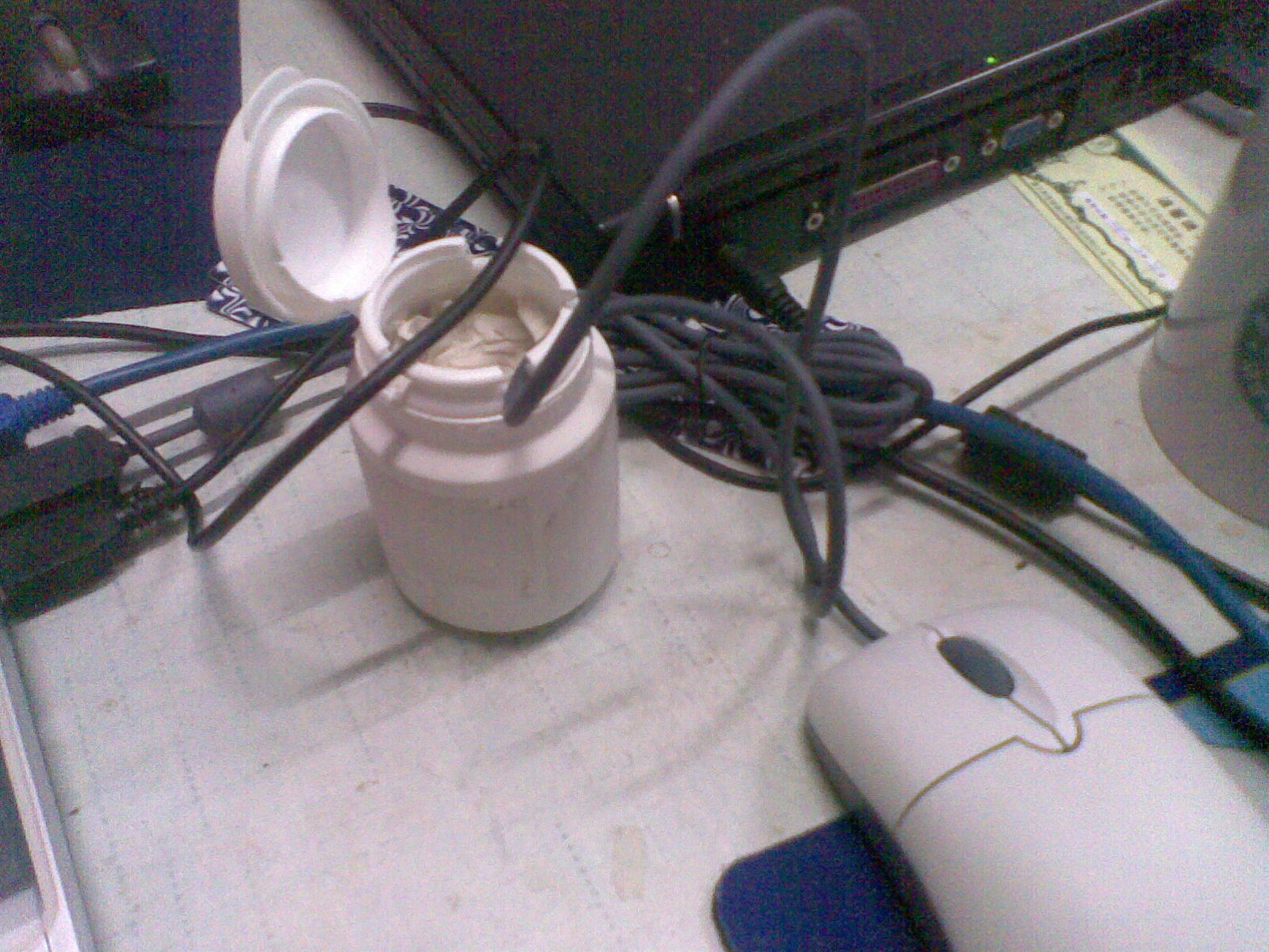 20100527_002.jpg