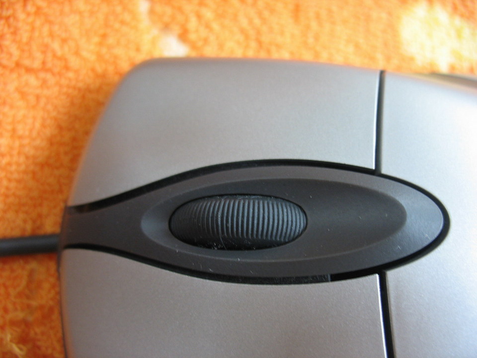 �������ˣ�������