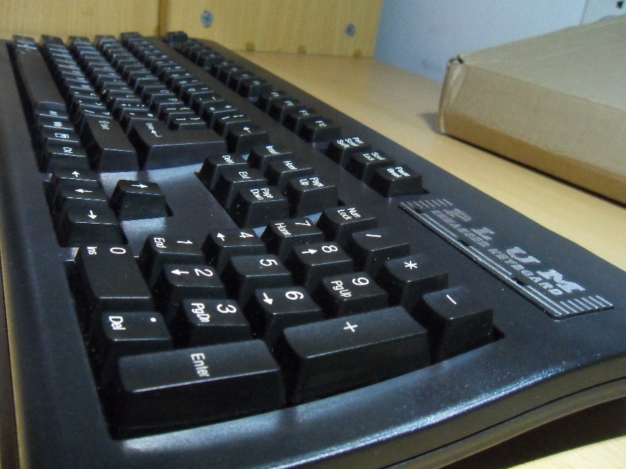 ���ѳ�����9��plum����,���һ��