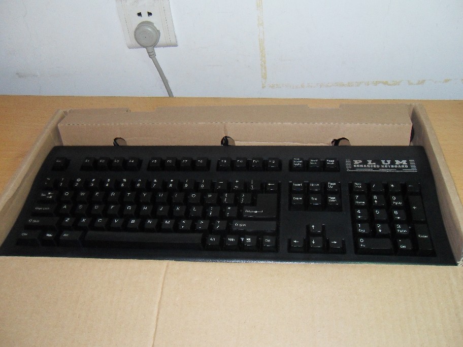 ���ѳ�����9��plum����,���һ��