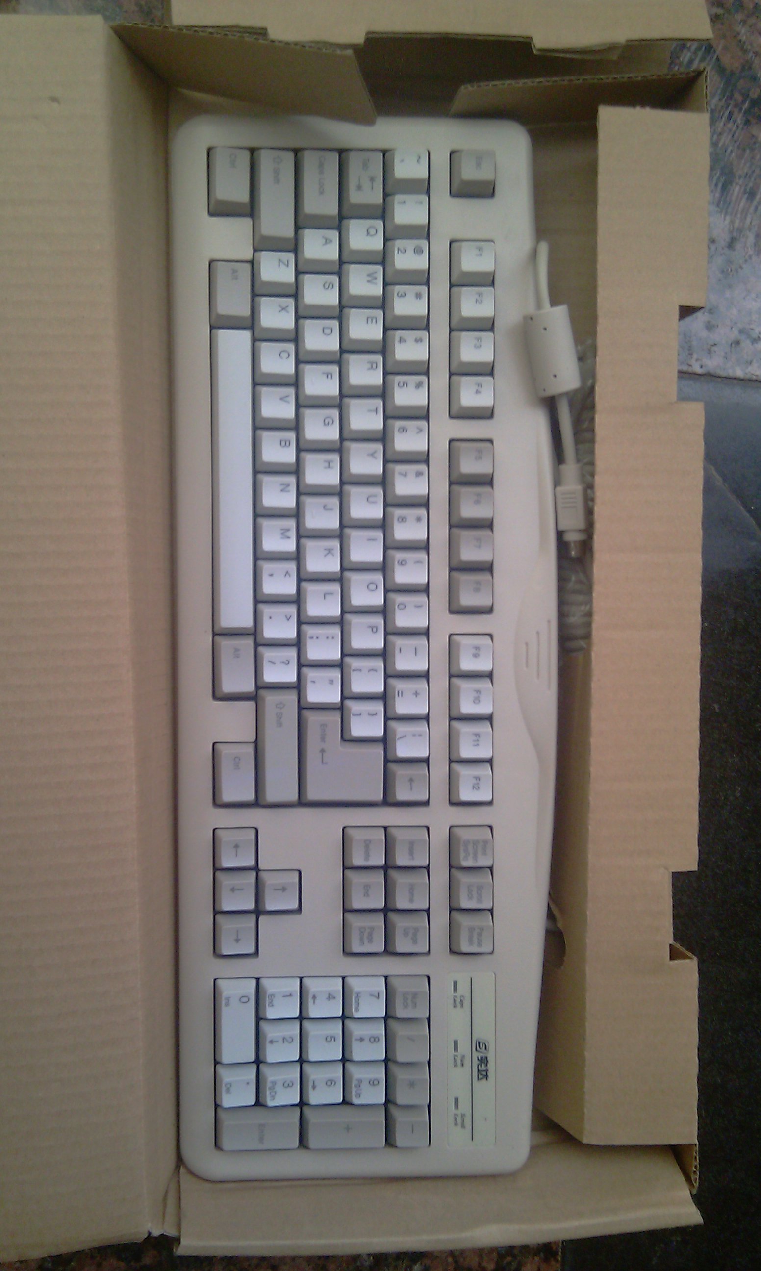 IMAG0042.jpg