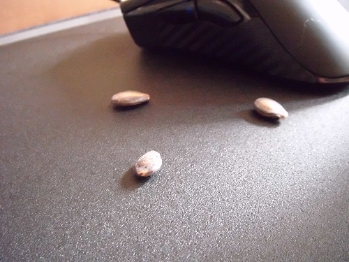 3500dpi 2.41���������߶�